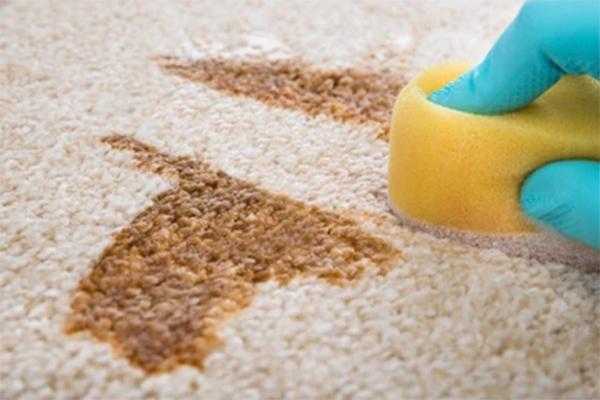 Masterkey 4-1 Furniture Cleaning  